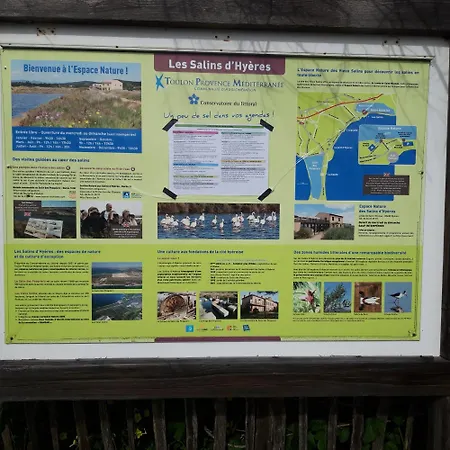 Camping A Hyères